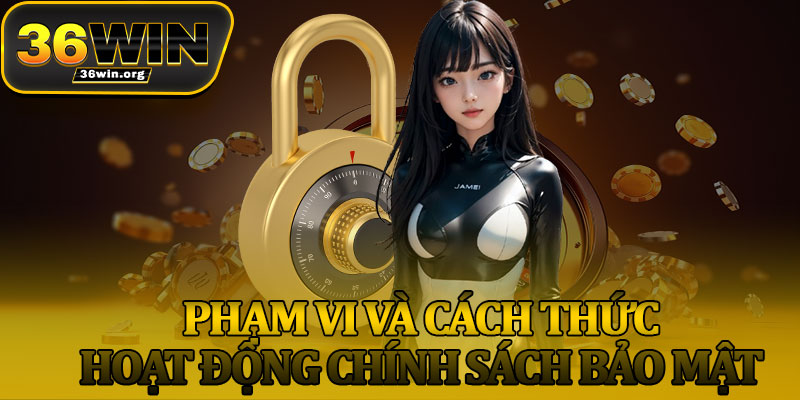 Phạm Vi Và Cách Thức Hoạt Động Chính Sách Bảo Mật